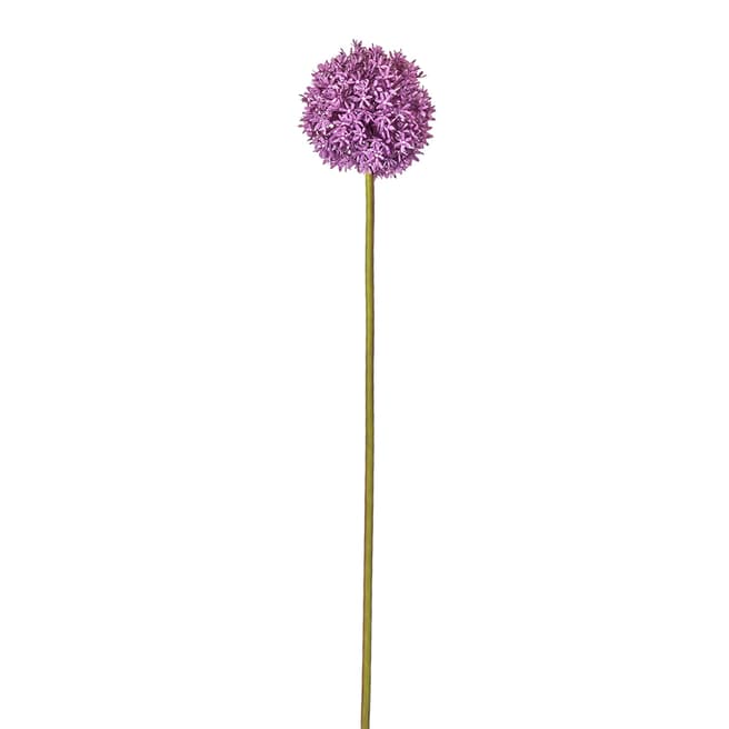 Gallery Living 3 Piece Allium Stem Purple 79cm