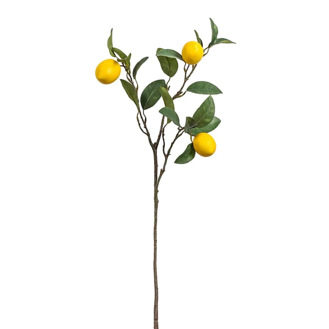 Gallery Living Lemon Stem with 3 Fruits 