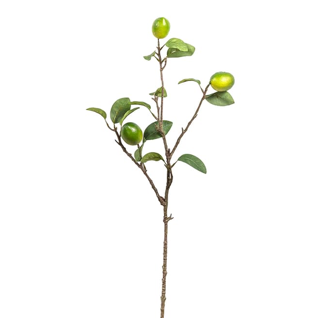 Gallery Living Lime Stem with 3 Fruits 89cm