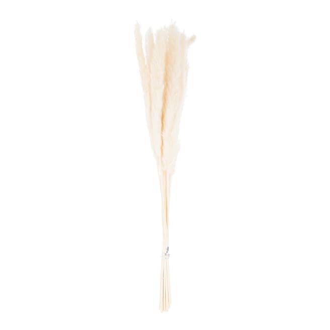 Hill Interiors Faux Mini White Pampas Grass Bunch Of 15
