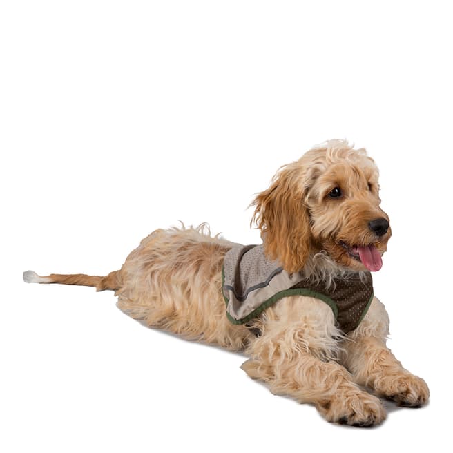 Scruffs Scruffs Insect Shield Dog Vest , X-Small