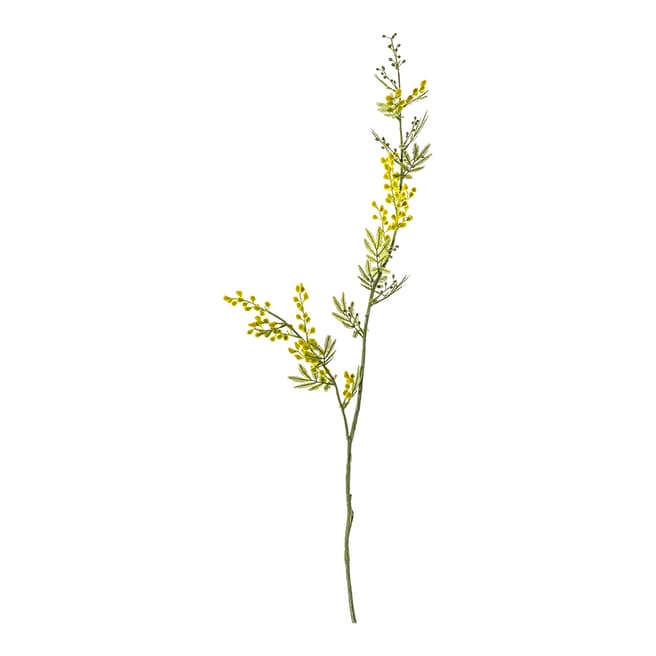 Gallery Living Set of 3 Mimosa 99cm Stems, Yellow