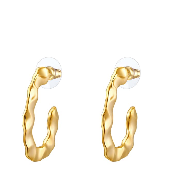 Iconic Collection Gold Hoop Earrings
