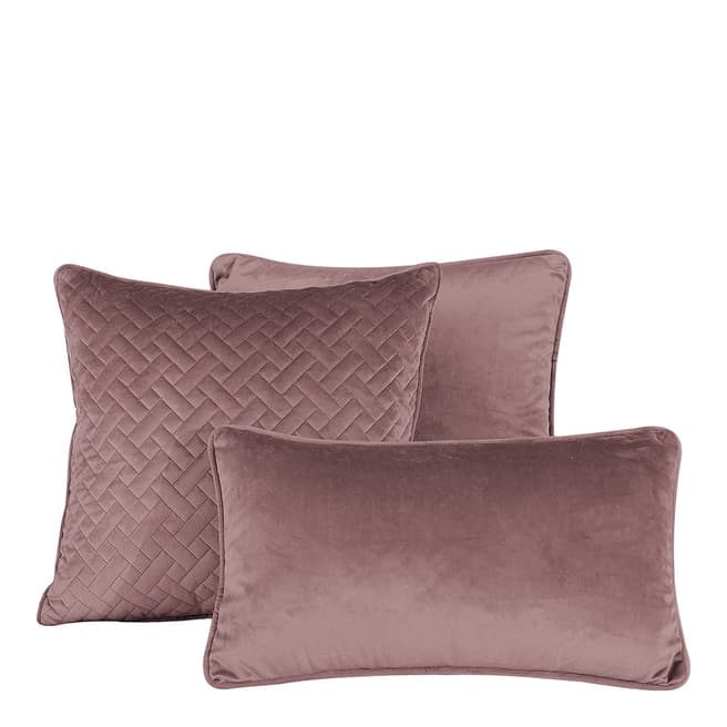 Limited Edition French Velvet Boudoir 30x50cm Piped Cushion, Blush