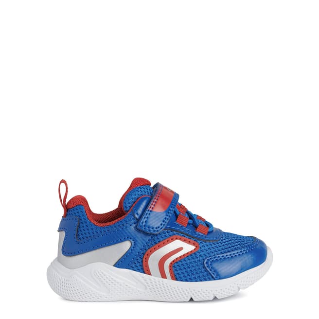 Geox Baby Boy's Royal Blue and Red Sneakers