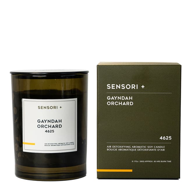 Sensori+ Sen Gayndah Orchard Candle 260g