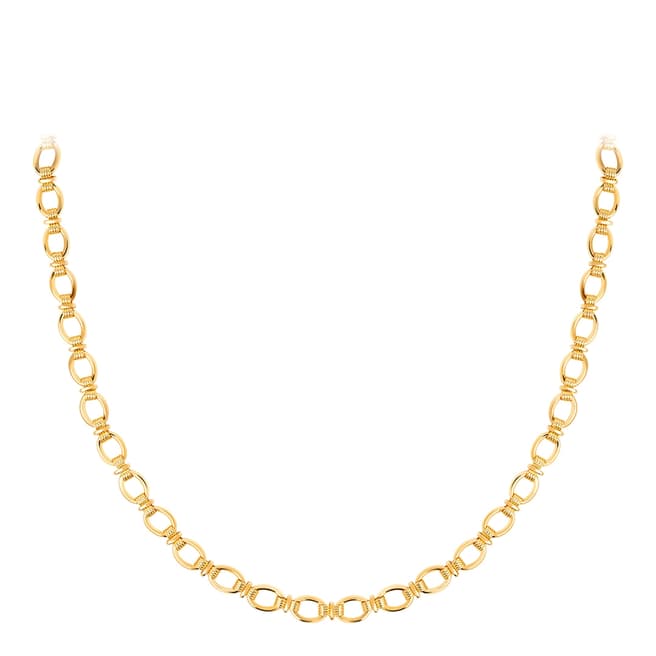 Astrid & Miyu Ribbed Link Chain Necklace in Gold