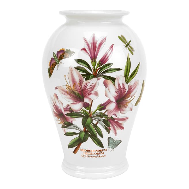 Portmeirion Botanic Garden Canton Vase