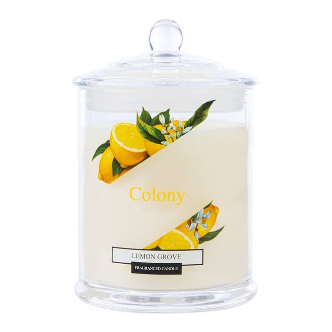 Wax Lyrical Lemon Grove Small Jar Candle