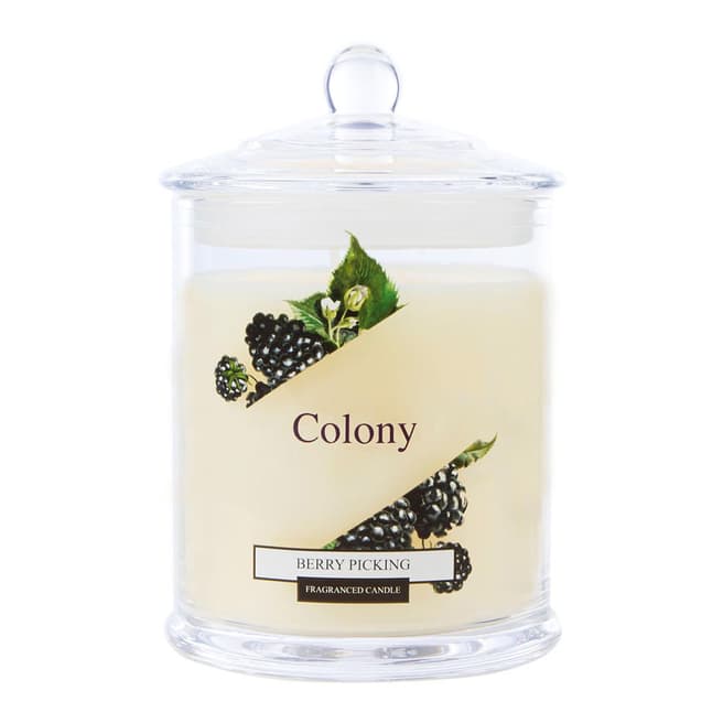 Wax Lyrical Berry Picking Small Jar Candle