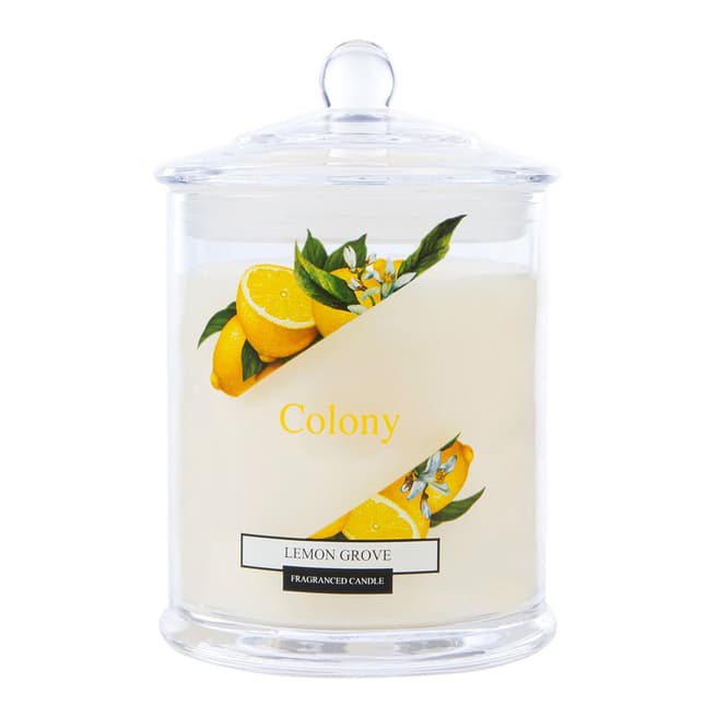 Wax Lyrical Lemon Grove Medium Jar Candle