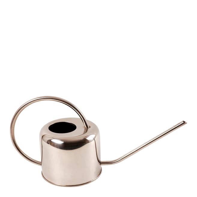 Fallen Fruits Stainless Steel Watering Can (1 L)