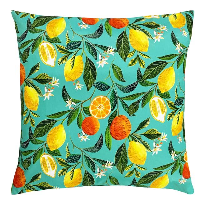 Paoletti Orange Blossom Outdoor 43x43cm Cushion, Multi