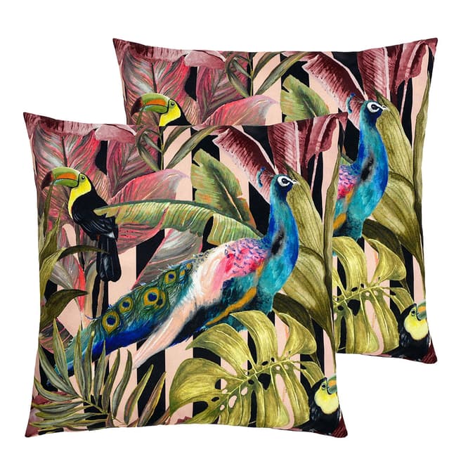 Evans Lichfield Toucan And Peacock 43x43cm Outdoor Cushion, Multi 2 Pack