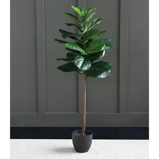 Scottish Everlastings Real Touch Fiddleleaf Tree, 125cm
