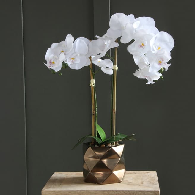Scottish Everlastings Real Touch Orchid In Bronze Pot