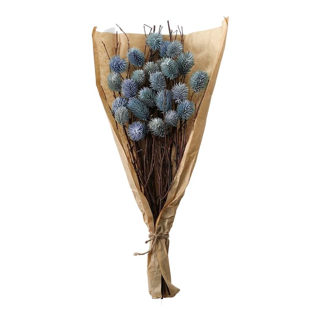Gallery Living Dried Thistle Bundle in Paper Wrap, Blue
