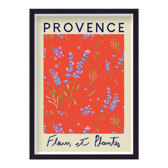 Botanics Plants And Flowers Provence