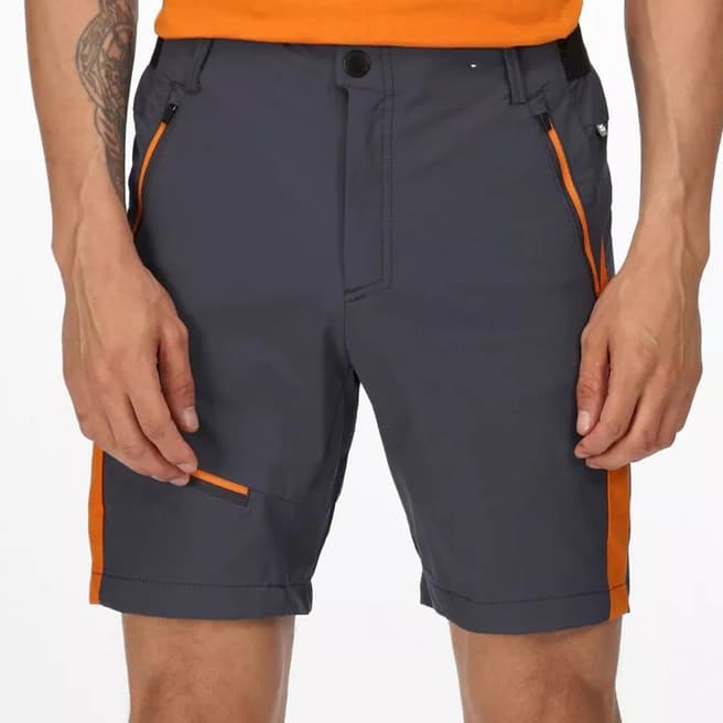 Regatta Grey/Fox Outdoor Shorts