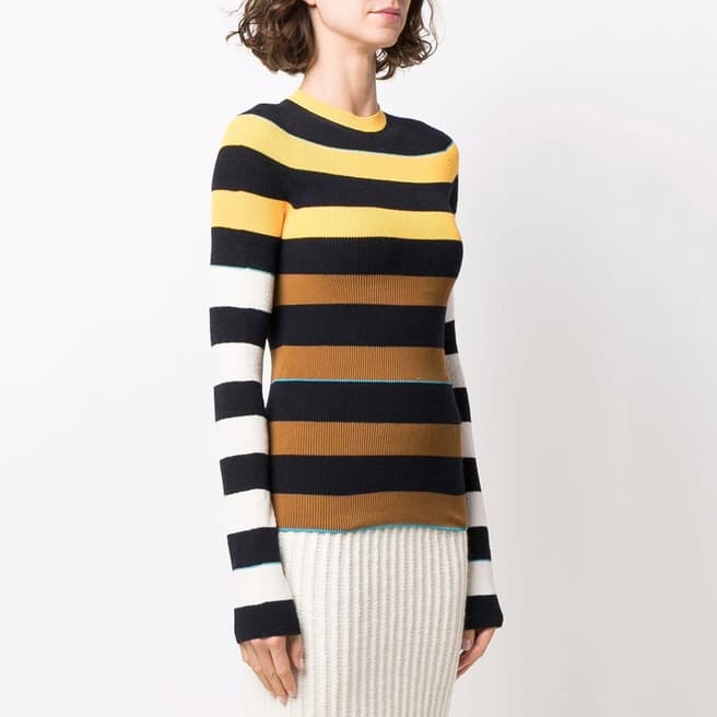Victoria Beckham Multi Fitted Long Sleeve Top