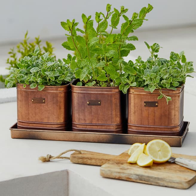 Ivyline Outdoor Hampton Copper Set of 3 Herb Planters With Tray