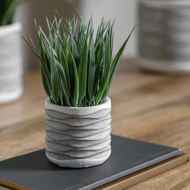 Gallery Living Set Of 2 Grass in Wavy Pot, Small