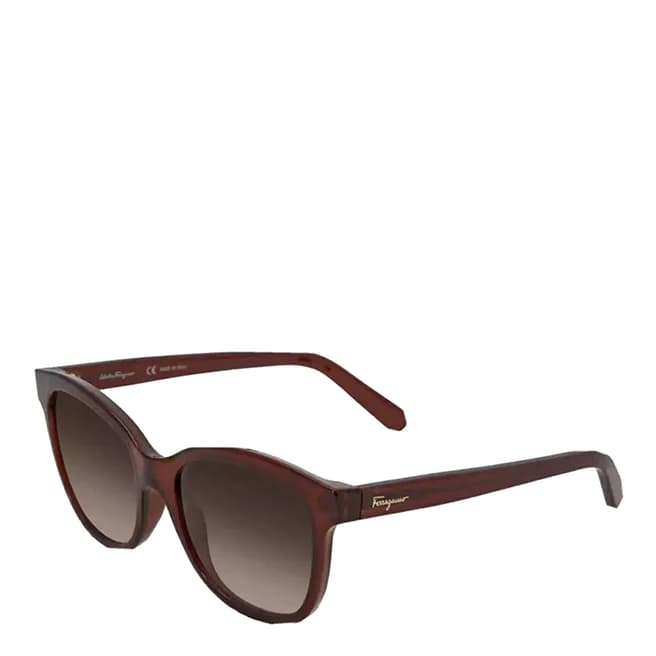 Ferragamo Women's Brown Salvatore Ferragamo Sunglasses 55mm