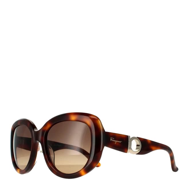 Ferragamo Women's Brown Salvatore Ferragamo Sunglasses 53mm