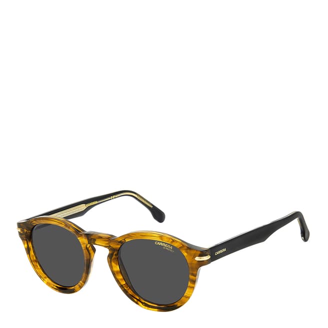 Carrera Brown Horn Panthos Sunglasses