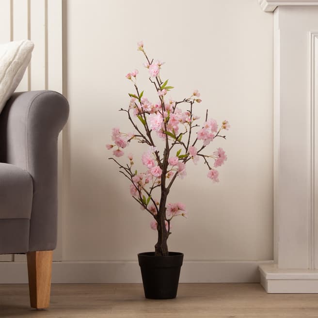 Scottish Everlastings 80cm Cherry Blossom Tree Pink
