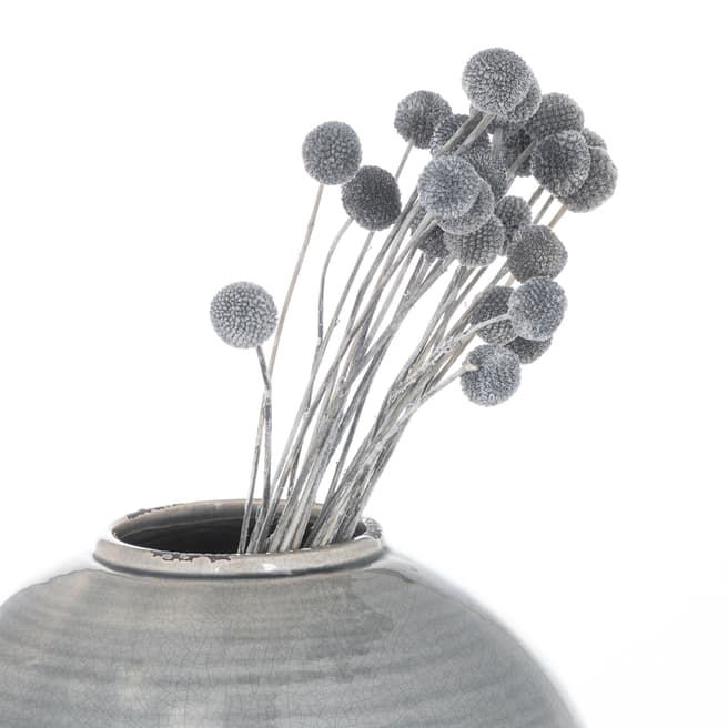 Hill Interiors Dried Grey Billy Ball Bunch Of 20