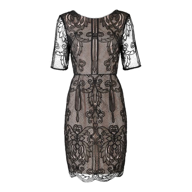 Black Lace Fitted Zola Dress - BrandAlley