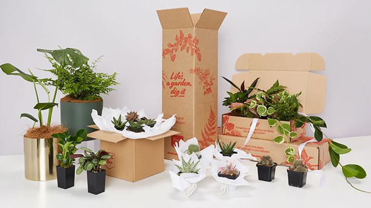 Plant In A Box: Seasonal Blooms