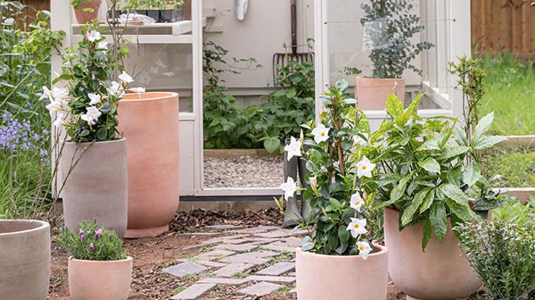Spring Garden Updates With Ivyline