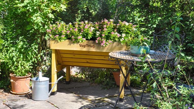 VegTrug: Grow Your Own