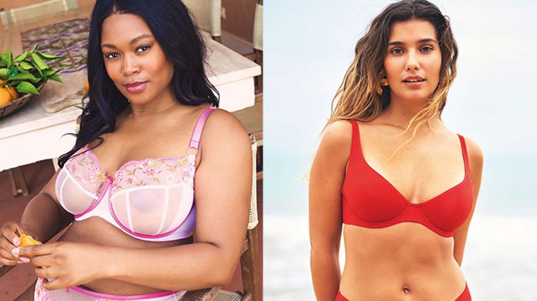Panache: New In Lingerie!