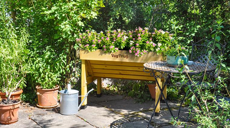 VegTrug: Grow Your Own