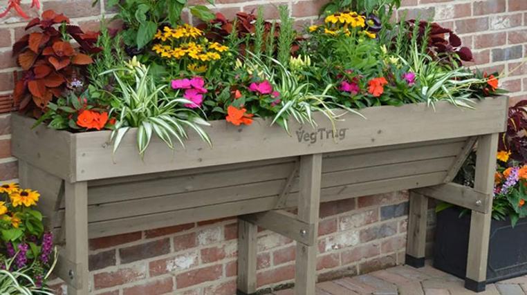 VegTrug Is Back!