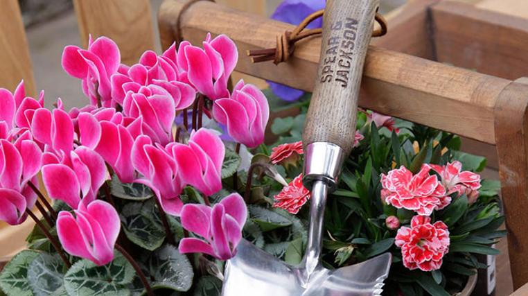 Prune Your Garden With Spear & Jackson