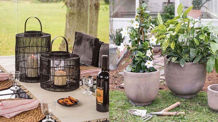 Ivyline: Garden Refresh
