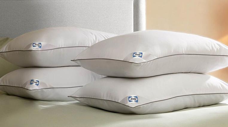 Sealy - Mattress Toppers, Duvets & More