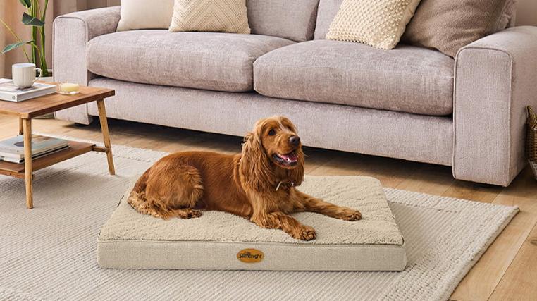 Premium Silentnight Pet Beds