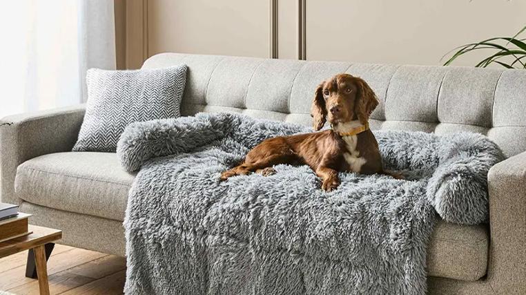 Treat Your Pets: Luxury Silentnight Beds