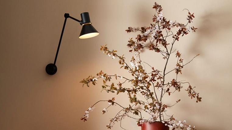Anglepoise Lamps: Darker Nights Ahead!