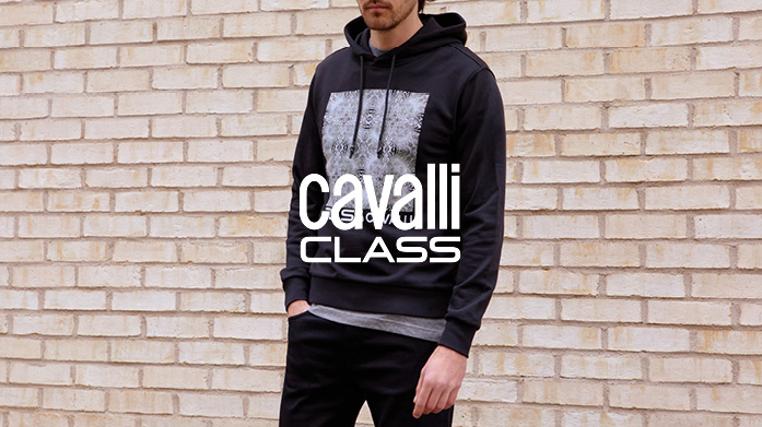 Cavalli Sweatshirts & Polos