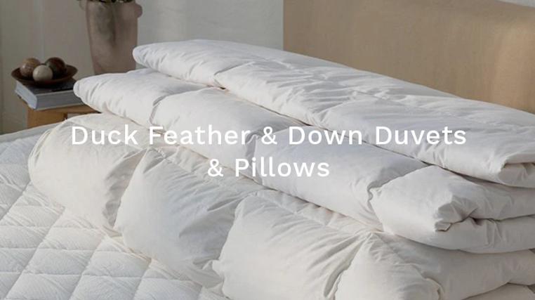 Duck Feather & Down Duvets & Pillows