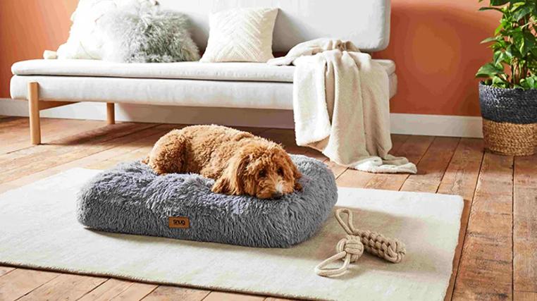 Luxury Pet Beds with Snug, Silentnight & More