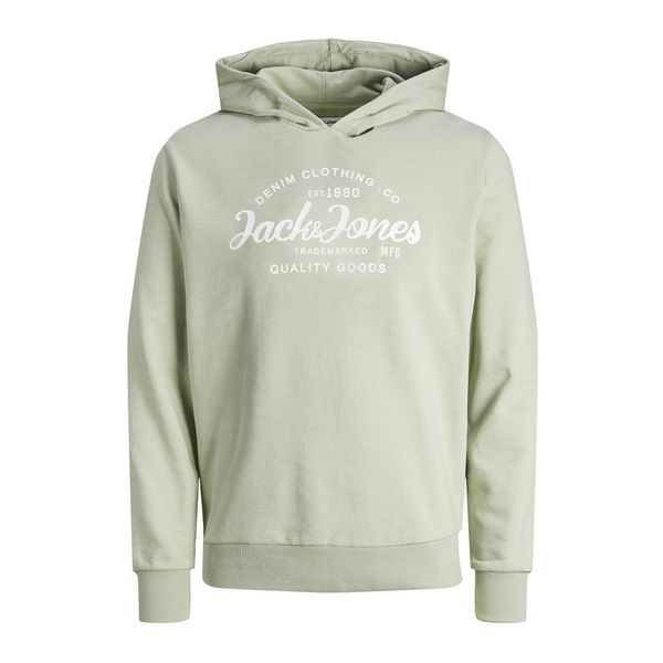 Desert sage hoodie clearance