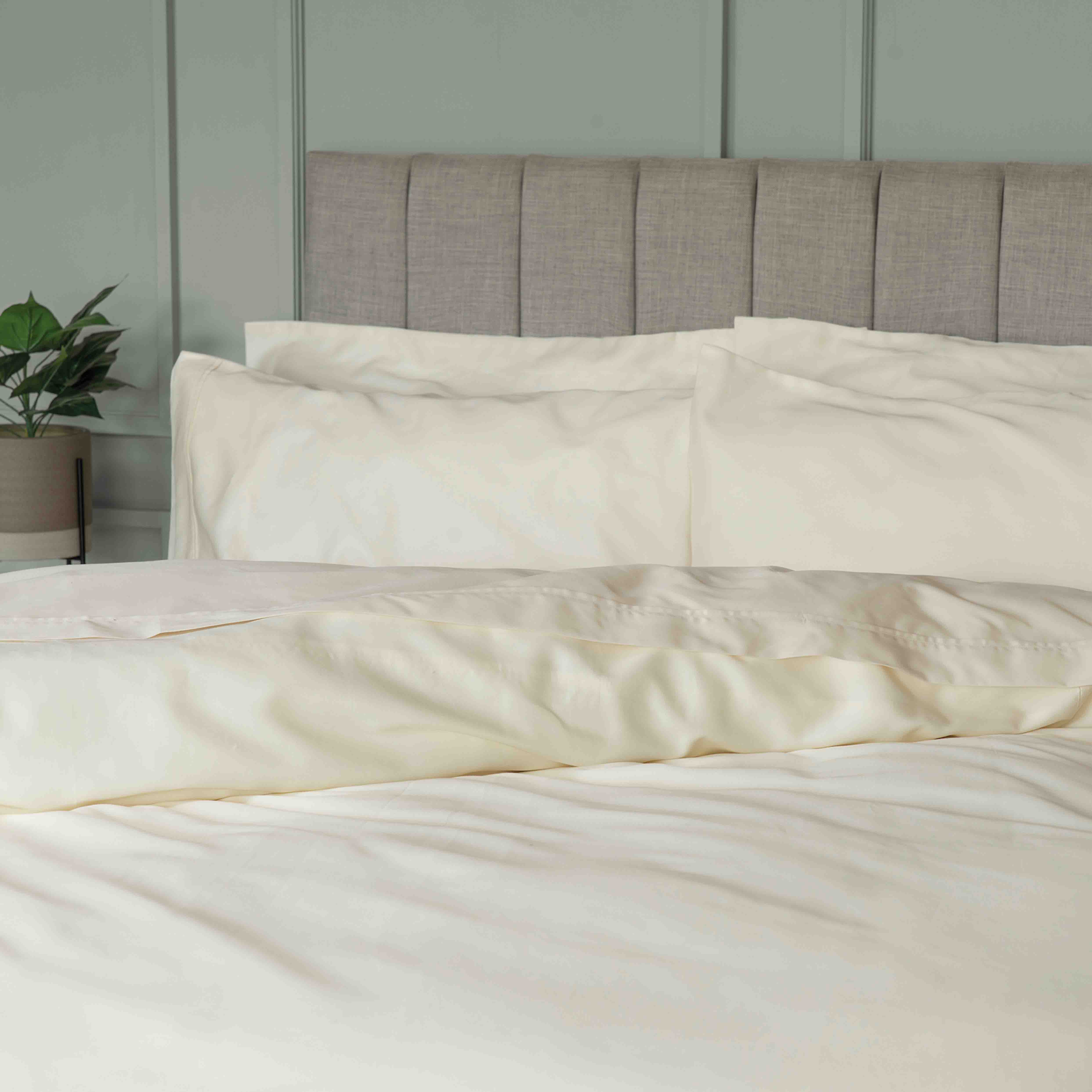 Belledorm   Premium Blend 500 Thread Count Duvet CoverKingsize Ivory in Size Kingsize, BrandAlley