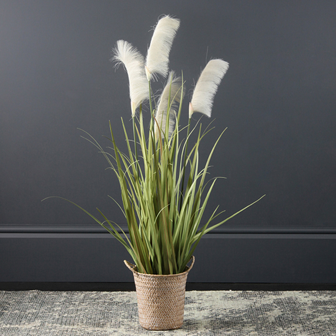 Scottish Everlastings     Artificial Pampas Grass In Natural Basket 100Cm in Size 100cm, BrandAlley